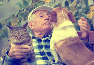 Chiens et chats de l’âge d’Or, voici votre super-formule! - Vogel Saint-Jérôme