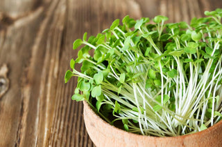 Alimentation naturelle | Vogel Saint-Jérôme