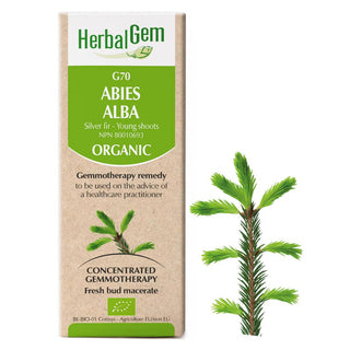 Abies Alba - 15ml - HerbalGem - HerbalGem