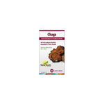 Chaga - 60 Végécapsules - New Roots - Default - New Roots Herbal