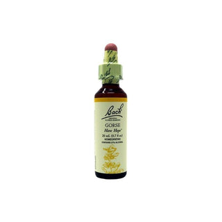 Gorse - Ajonc - 20ml - Fleurs de Bach - Default - Les Fleurs de Bach